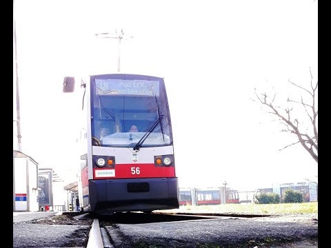 Cab View Linia 4R Oradea