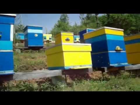 Eden od retkite soncevi denovi