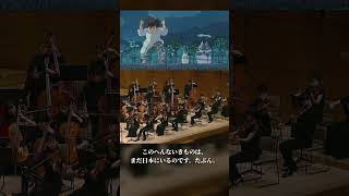 Download lagu 久石 譲 / オーケストラのための『となりのトトロ』より mp3