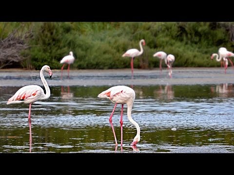 Welcome to Sardinia ... created by Giampaolo Mocci