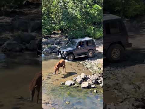 Quezalte Off-road
