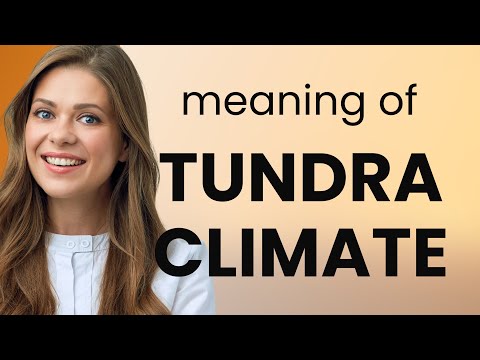 Understanding the Tundra Climate: A Guide for English Learners