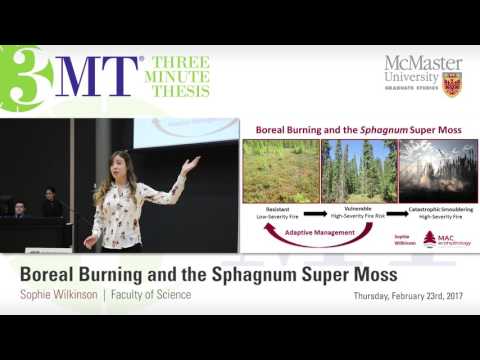 Sophie Wilkinson, 3MT 2017