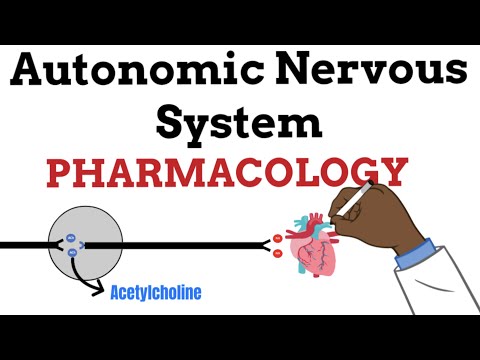 Introduction to  Autonomic Nervous System Pharmacology