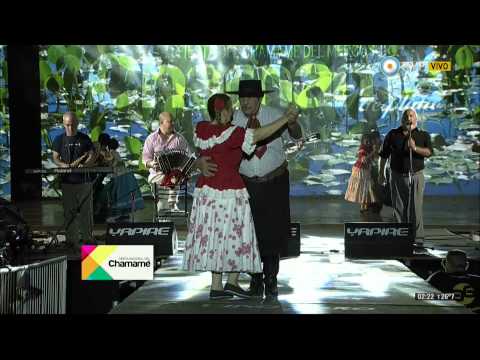 Fiesta Nacional del Chamamé 2015 - 10º Noche - Los Nuñez 25-01-15