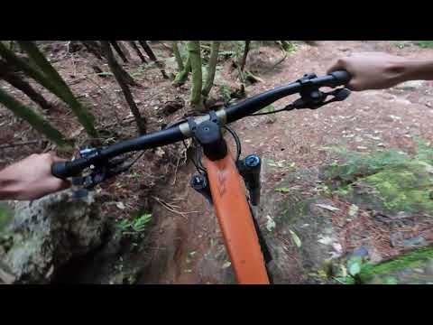 Kung Fu Walrus // Rotorua MTB [4K]