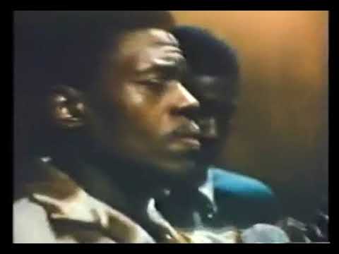 Junior Wells & Buddy Guy - Cryin' shame