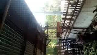 Download lagu Anis Sisik Gancor mp3 Download lagu Anis Sisik Gancor mp3