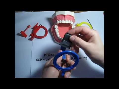 Как использовать держатель снимков для Передних зубов (синий)