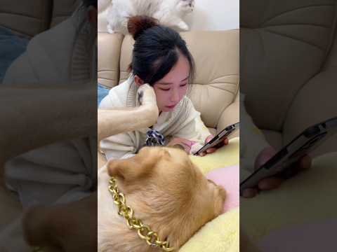 amazing girl and dog 🐕🐶 love #catnap #pet #viralvideos#short  #adorable #instagood #dog  #ilovedog