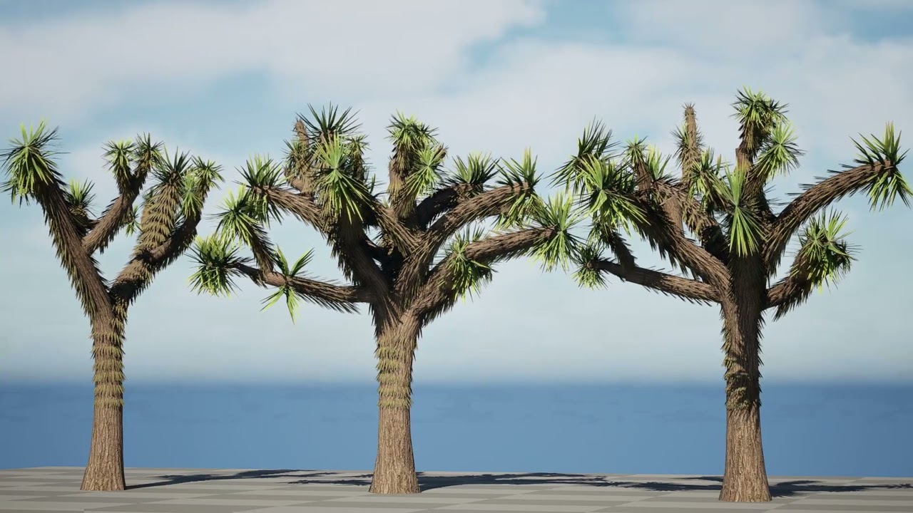 Joshua Tree s 3D Model