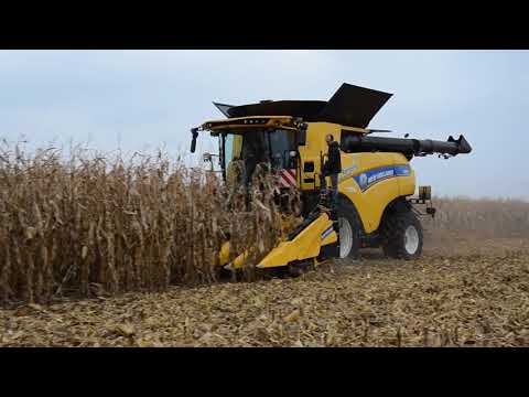 Najnowszy kombajn New Holland do zbioru kukurydzy