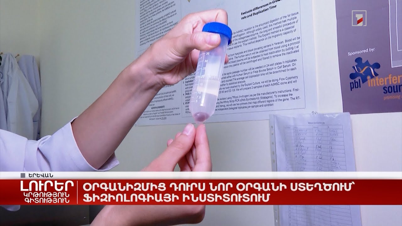 Օրգանիզմից դուրս նոր օրգանի ստեղծում՝ ֆիզիոլոգիայի ինստիտուտում