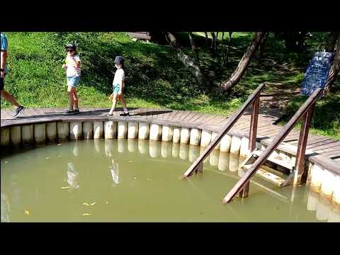 BORSEC ( Borszék) Orasul Apelor Minerale si al Bailor Termale in aer liber!