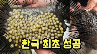 이게 대체 얼마야?? 고이다 못해 썩은물이 드디어 일냈네요...오피스텔 한켠에서 쏟아져 나왔습니다...!!