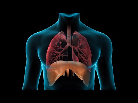 Asthma Symptoms and Treatment