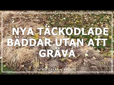 Nya täckodlade bäddar utan att gräva