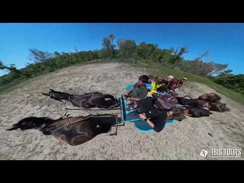 Croaziera in Delta Dunarii cu Ibis Tours