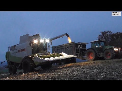 Das gelbe Gold - Mais dreschen 2021 - Claas Lexion 560 - Landwirtschaftl. Lohnbetrieb Zollner