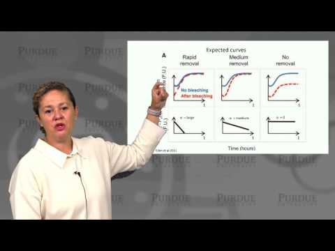 nanoHUB-U Biodesign L3.3: Gene Circuits - Protien Half Lives