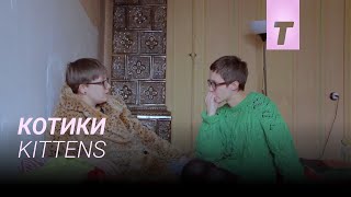 Trailer Preview Image