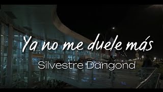 Ya no me duele más - Silvestre Dangond (LETRA)