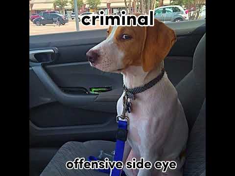 Bombastic side eye 👀