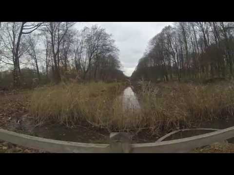 Palingbeek 27 nov 2016