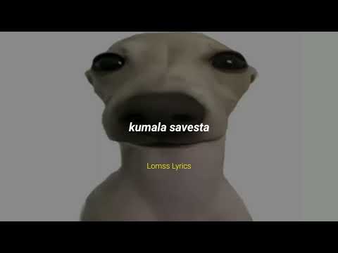 kumalala kumalala kumala savesta // Letra