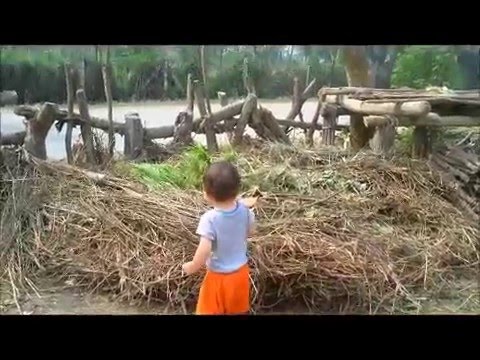 My Little Bouddha in Nepal. 2014