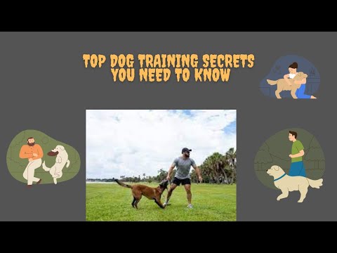 The Ultimate Dog Training Guide: Master Basic Commands with Positive Reinforcement l MY DEAR PET