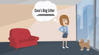 Coco's Dog Litter - Great for apartments and condos