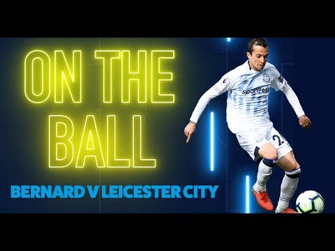MAGIC BERNARD SHINES 