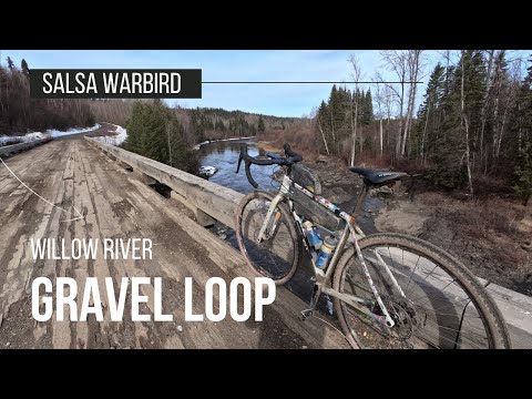 Salsa Warbird review - 100km to Willow River