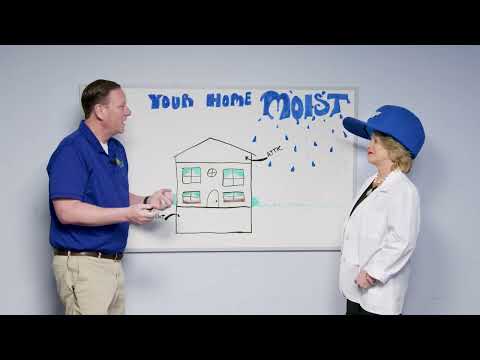 Is Your Home Moist?