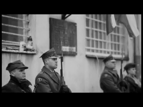 Karat Napalm Grupa\CS - Piwnice ubeckie (zapowiedź)