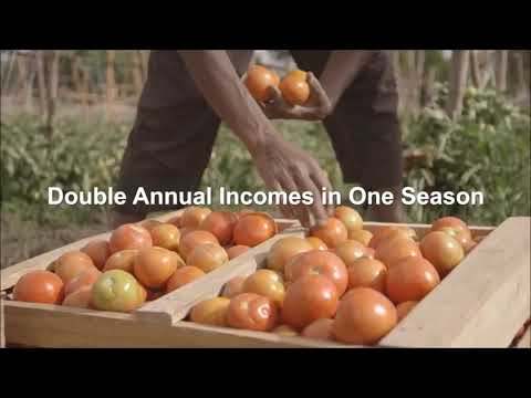 Free Farmers from Poverty & Educate their Children