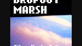 Dropout Marsh - Plume Kevlar