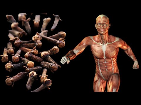 Jedz 2 GOŹDZIKI Dziennie i Zobacz Co Się Stanie