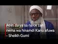 Abin Da Ya Sa Na Ce Zan Nema Wa Nnamdi Kanu Afuwa Sheikh Gumi