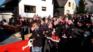 preview picture of video 'Karnevalszug 2015 Scheuerfeld'