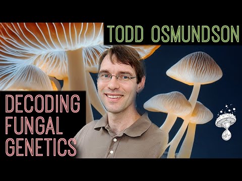 Unwinding Mushroom Mysteries, Decoding Fungal Genetics || Todd Osmundson PhD