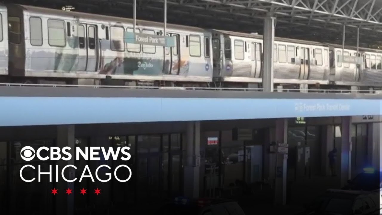 4 people shot and killed on Chicago-area Blue Line train, suspect in custody