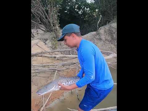 Pescaria no rio Apiaú - Mucajaí -RR