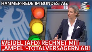 Hammer-Rede im Bundestag: Alice Weidel (AfD) rechnet mit „Ampel“-Totalversagern ab!
