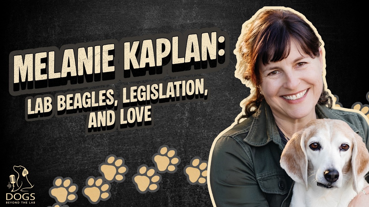 Melanie Kaplan: Lab Beagles, Legislation, and Love