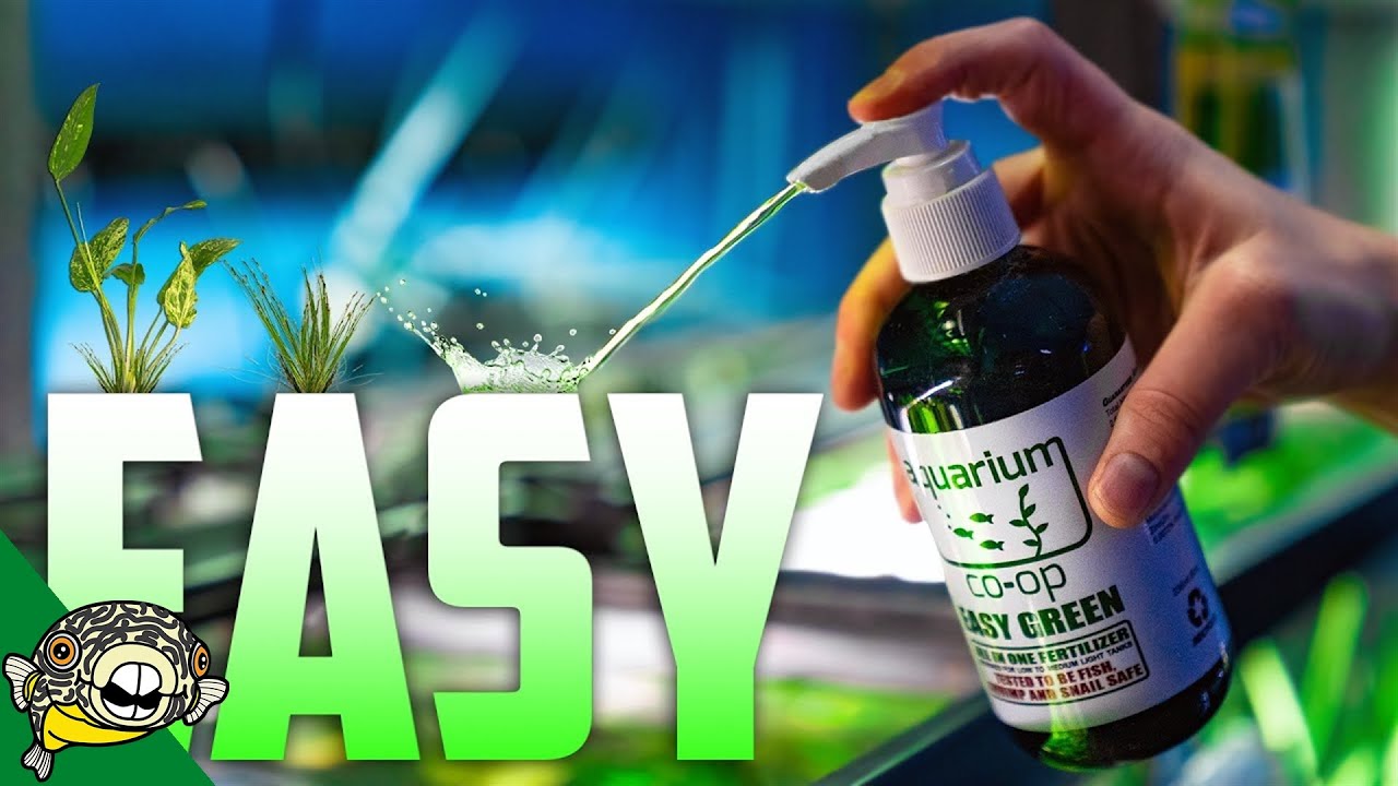 The EASIEST Aquarium Fertilizer on the Market! Easy Green.