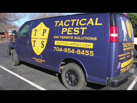 Flint Foley's Featured Business of the Month - Tactical Pest & Termite Solutions