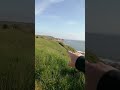 A Walk On The Mild Side