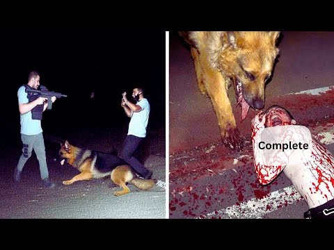 30 Times Thieves Messed With The Wrong Opponents